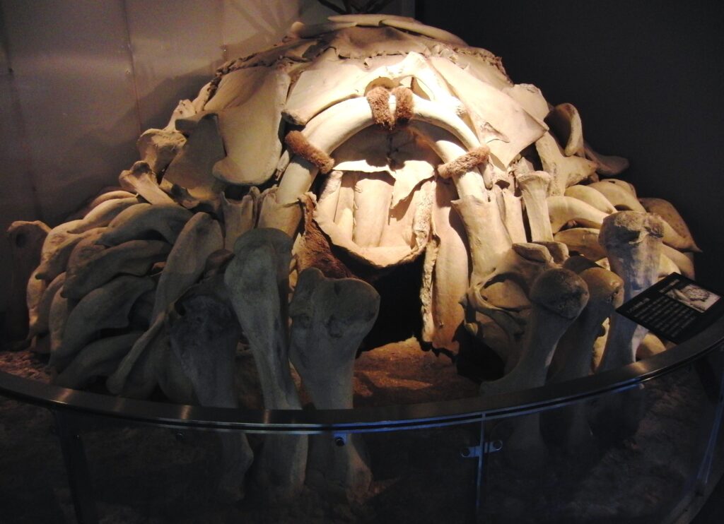 A photograph highlights a domed structure made of large, curved bones.