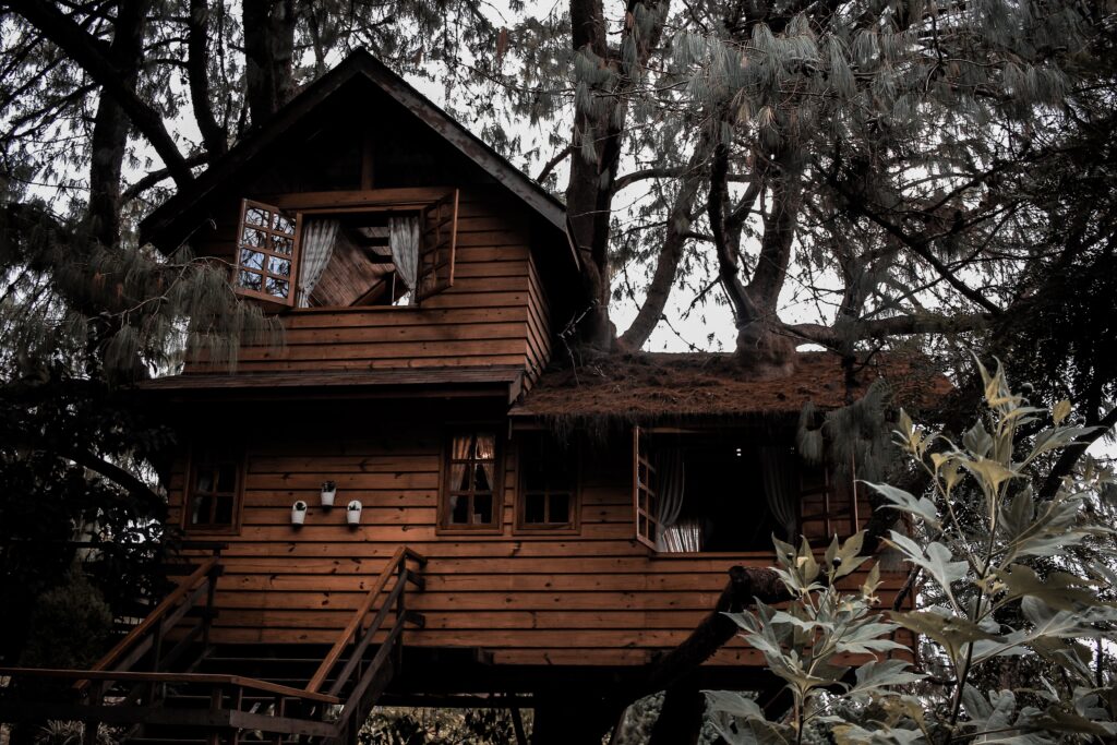 A photograph features a paneled, two-floor wooden house lofted in a tree.