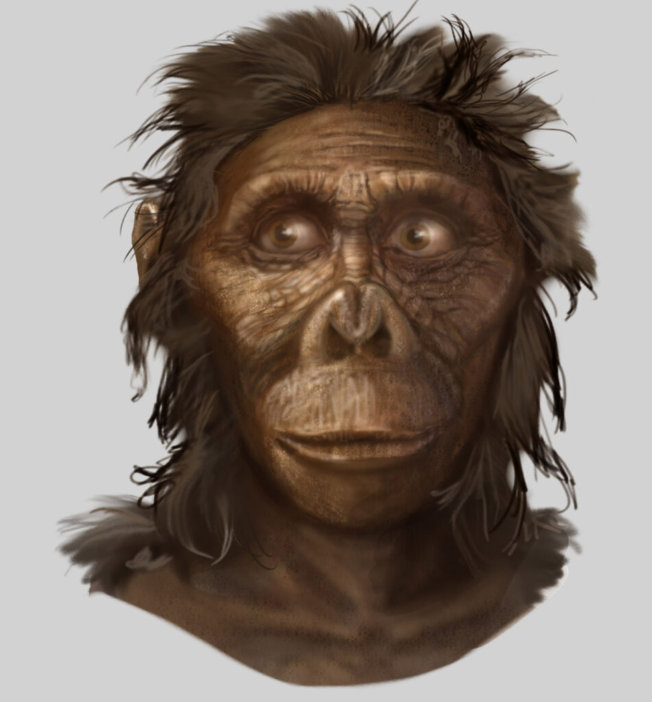 An illustration features a hominin with a prominent brow ridge, flattened nose, and protruding jaw.