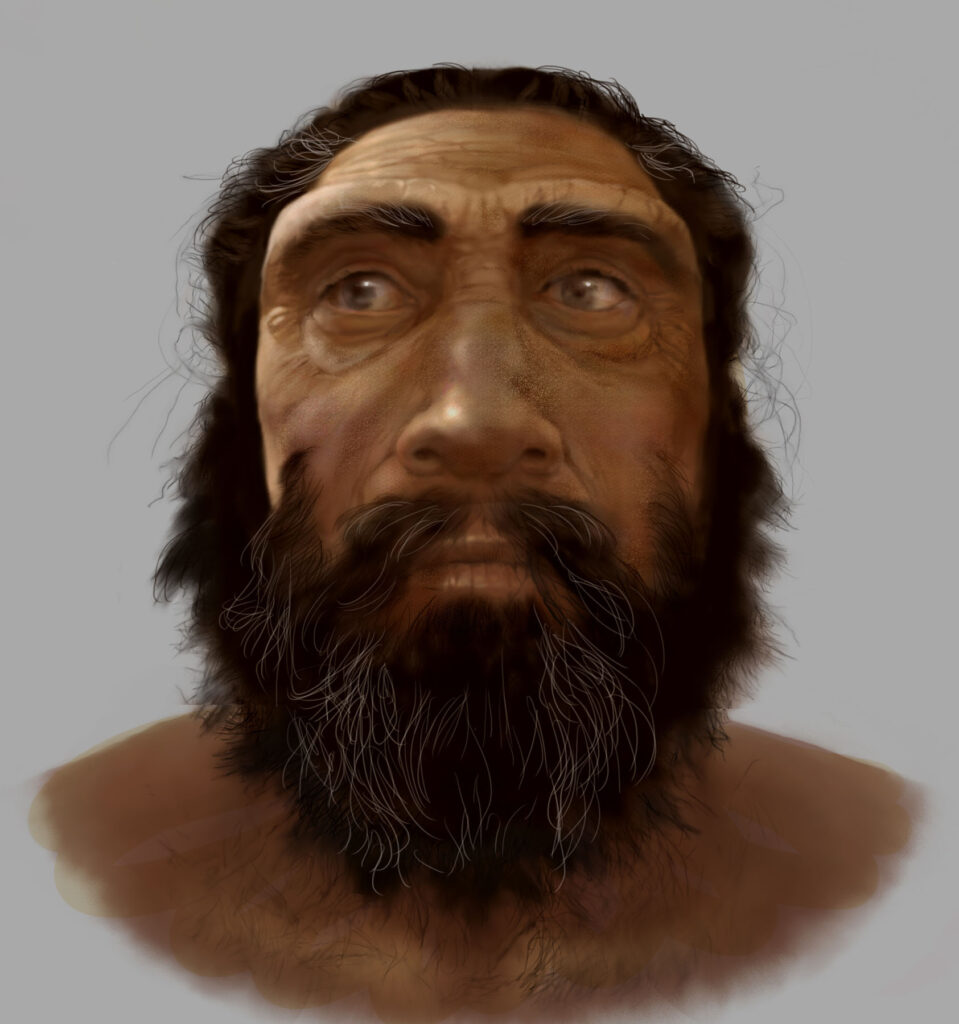 An illustration showing a hominin with a heavy brow ridge, slanted cheek bones, and a broad nose.