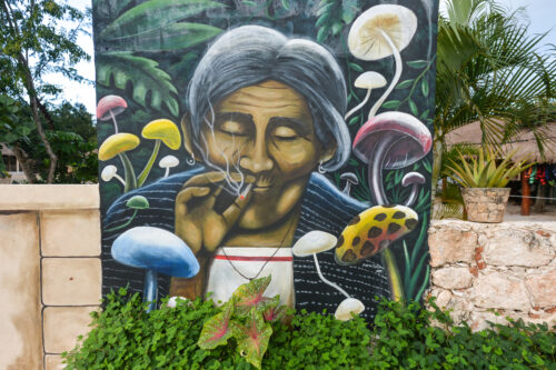 Public wall art depicts a woman with facial wrinkles and gray hair smoking a cigarette while surrounded by green leafy plants as well as red, blue, and yellow mushrooms.