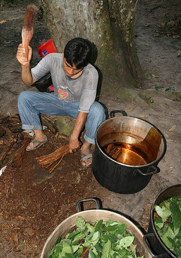 A person with short black hair wearing a gray shirt and jeans beats a vine with a wooden club while sitting next to a pot filled with brown liquid and two pots filled with leaves.