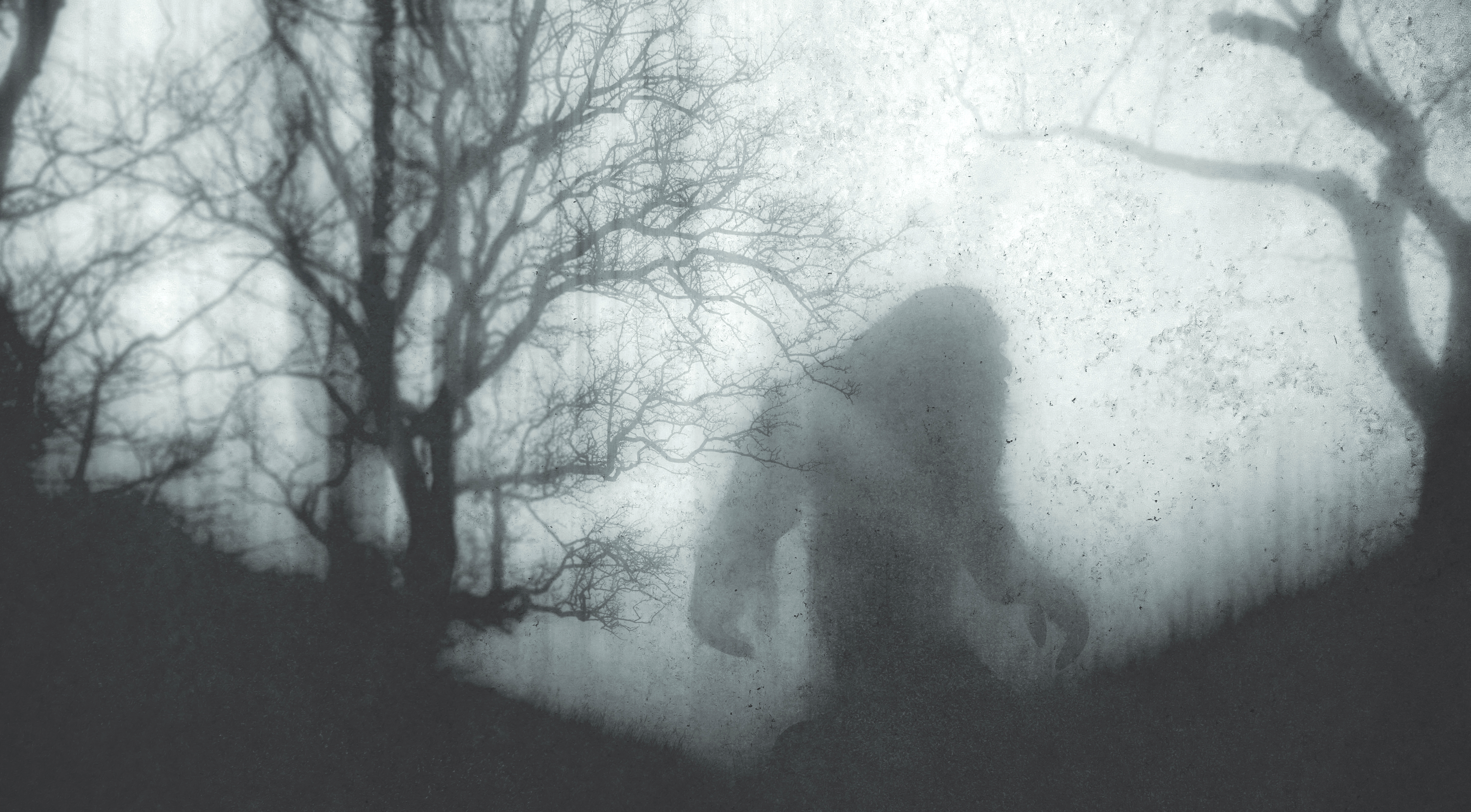 What a Bigfoot Hoax Teaches Us About Public Mistrust of Science photo photo