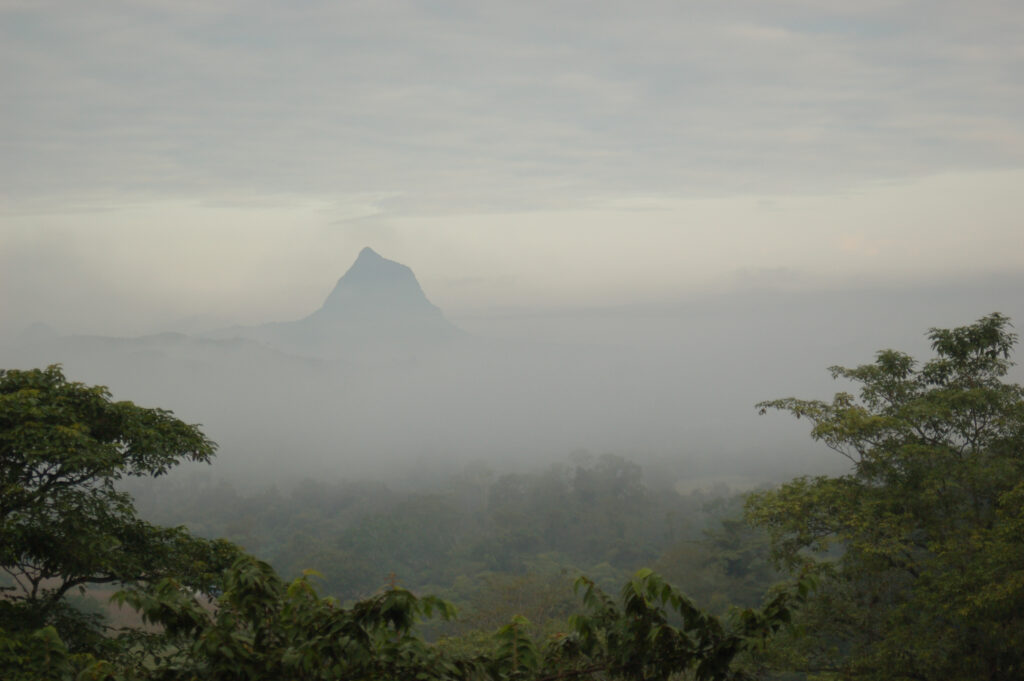 Trees line the bottom of a photograph beneath a hazy gray sky with a mountain peak visible in the distance.