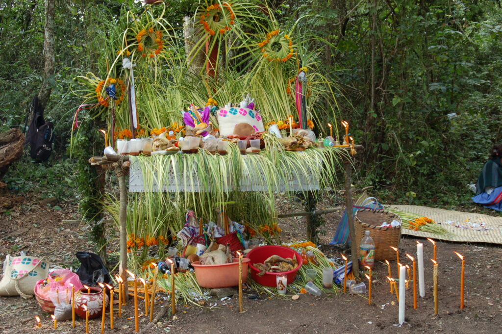 In a forest opening, a large altar decorated with palm leaves and orange marigold flowers is covered with cups with liquids in them, tote bags, prepared foods and bread, paper figure cutouts, and lit candles. On the ground are more bags, containers filled with food, and more candles and cutouts.