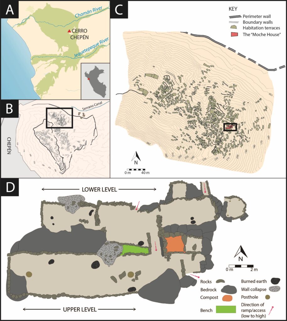 A large rectangular graphic is split into four different parts labeled A, B, C, and D. The A section has a beige mass beside a blue one with a red triangle labeled Cerro Chepén. The B section is a terrain map of a lighter beige. The C section is also a terrain map but larger and against a white background with a key that labels “Perimeter wall,” “Boundary walls,” “Habitation terraces,” and “The ‘Moche House.’” Section D shows a cross-section of the Moche House, labeling “rocks,” “bedrock,” “compost,” “bench,” “burned earth” “wall collapse,” “posthole,” and “direction of ramp/access.”
