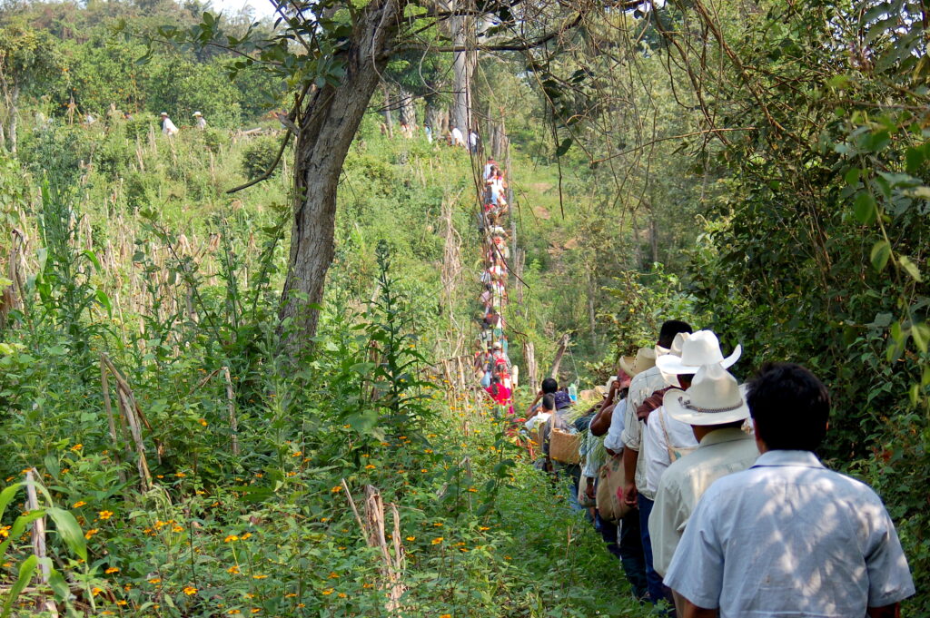 A long line of people, several wearing brimmed hats, walk in procession through a grassy field up a hill. On the horizon, the line turns left at the hilltop and continues across and out of the frame.