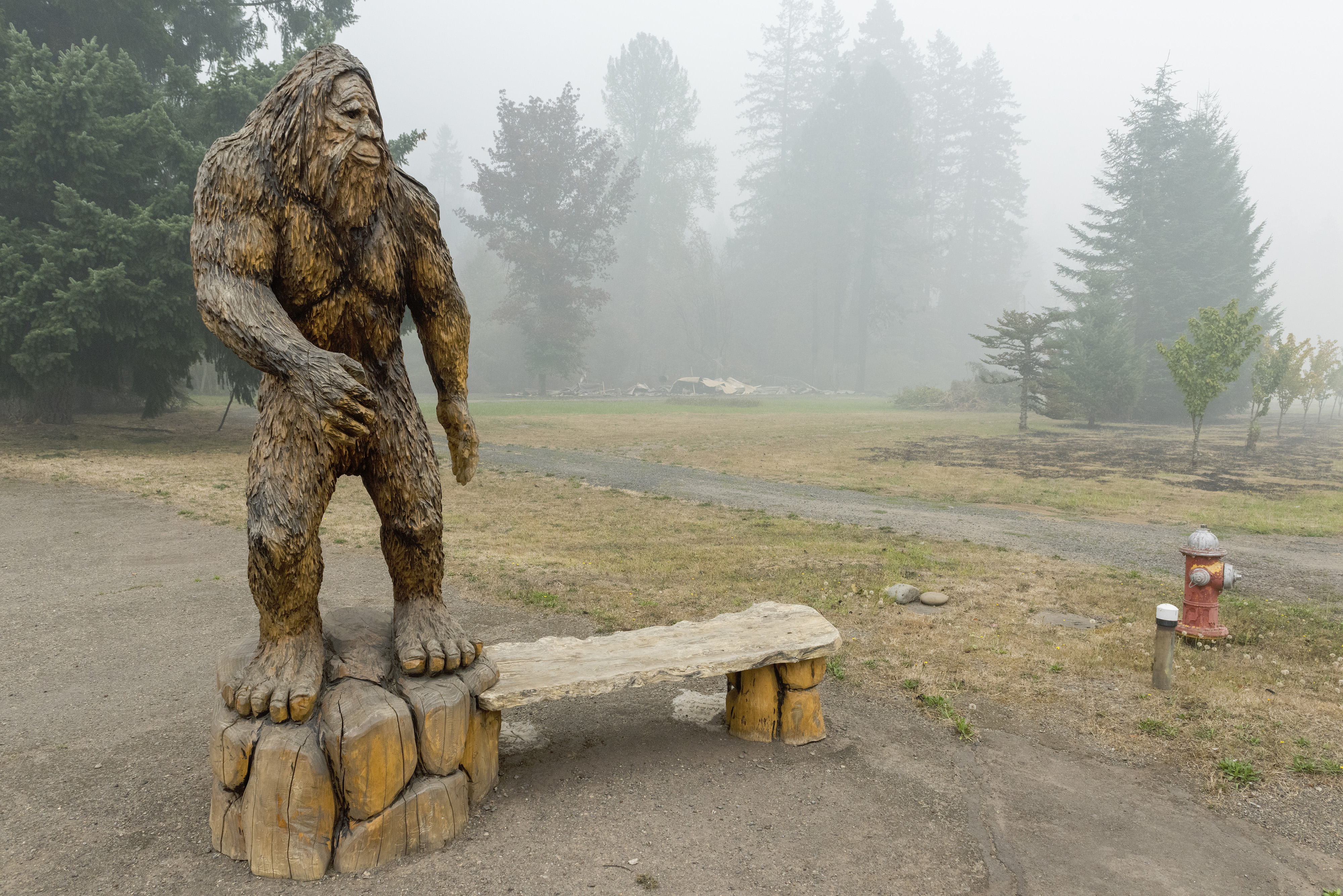 What a Bigfoot Hoax Teaches Us About Public Mistrust of Science