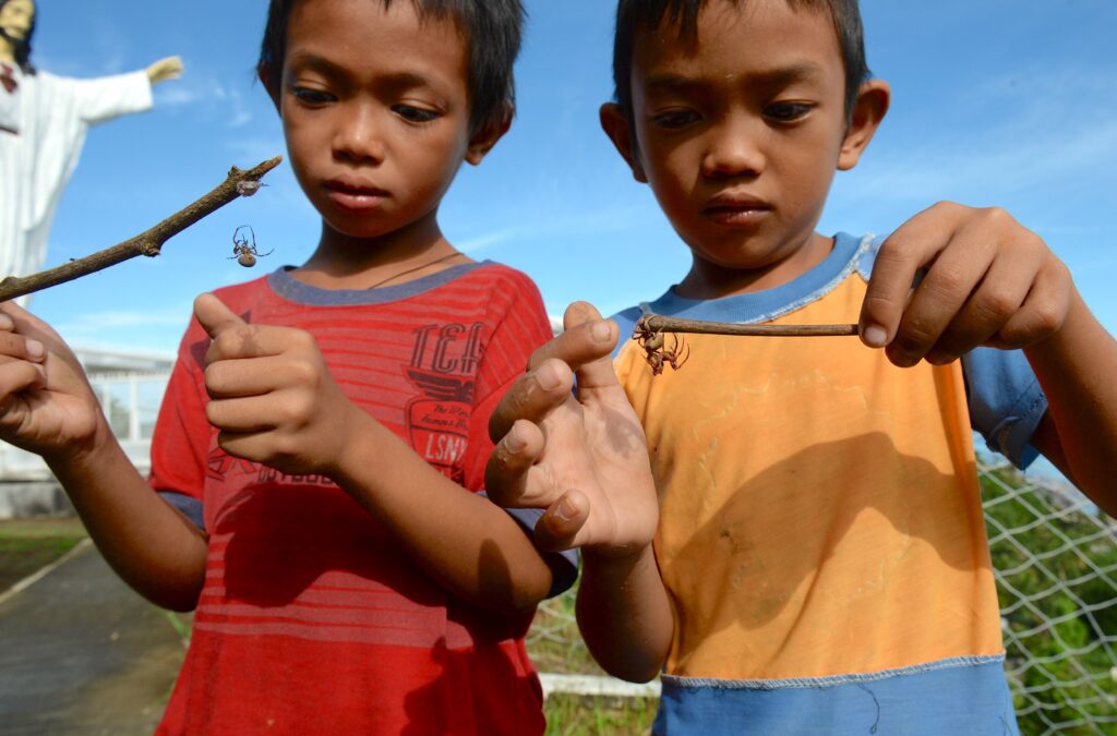 Two children in T-shirts stand side by side watching a few spiders on or hanging from the sticks they each hold.