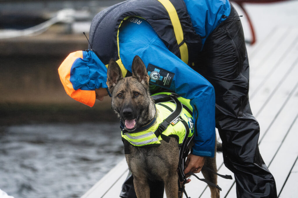 Standing on a wooden pier with water below, a person wearing a headset, navy life vest, and parachute pants bends over to put a yellow life vest on a dog.