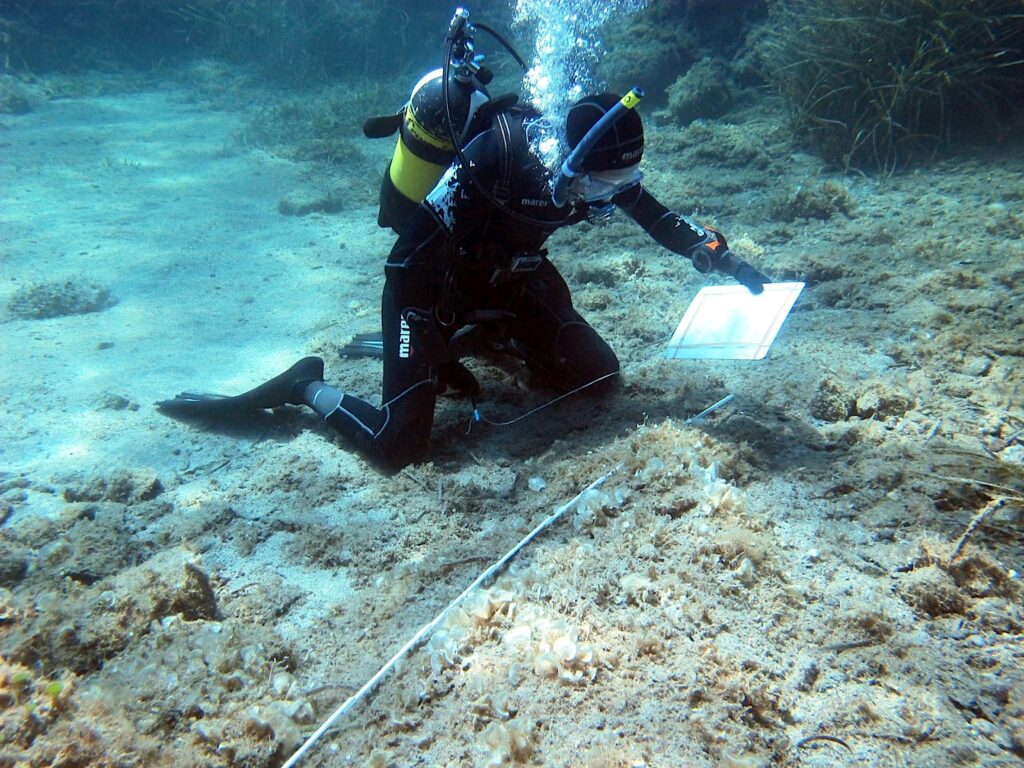 On the ocean floor, a person in a black scuba suit, yellow oxygen vest, and flippers kneels and looks at a white board in their left hand.