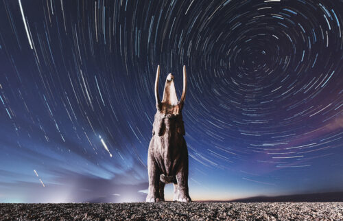 A graphic features a mastodon with its head raised and mouth open on rocky ground in front of a blue sky filled with swirling lights.