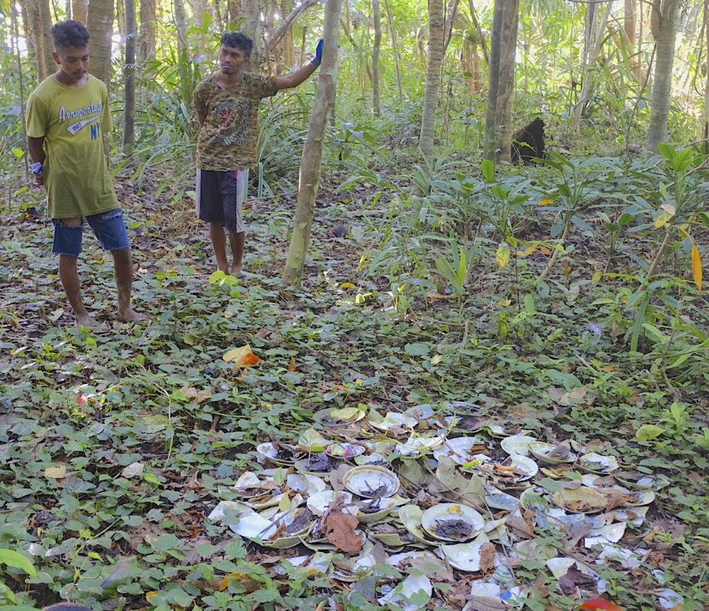 Two people stand in a forest where green plants cover the forest floor except where a large pile of white bowls lie. Some are intact but several are broken.