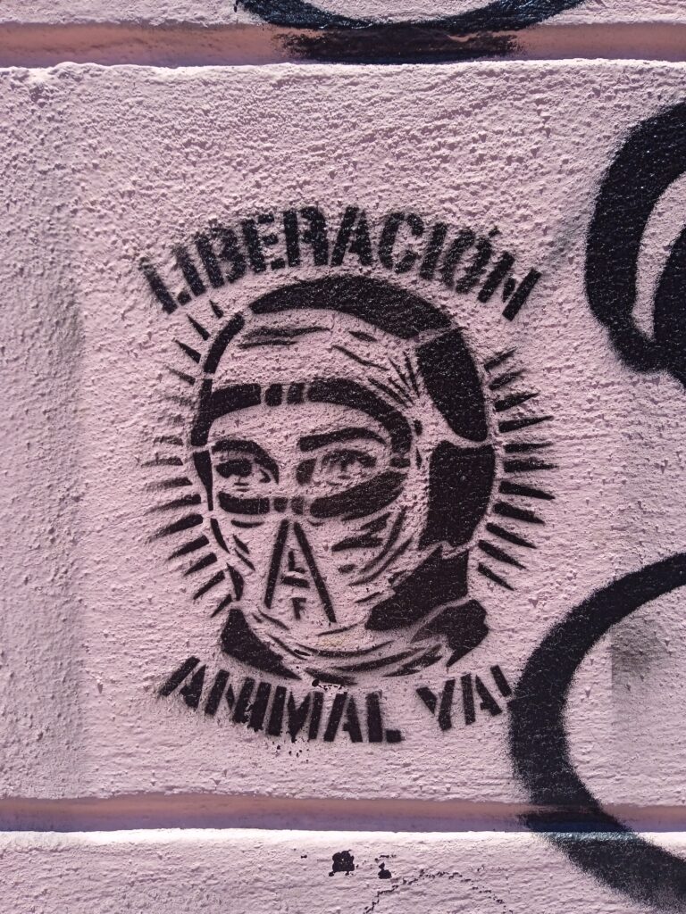 A close-up of a spray-painted graphic depicts a masked person with black, capitalized text around them that reads, “Liberacion Animal Va!”