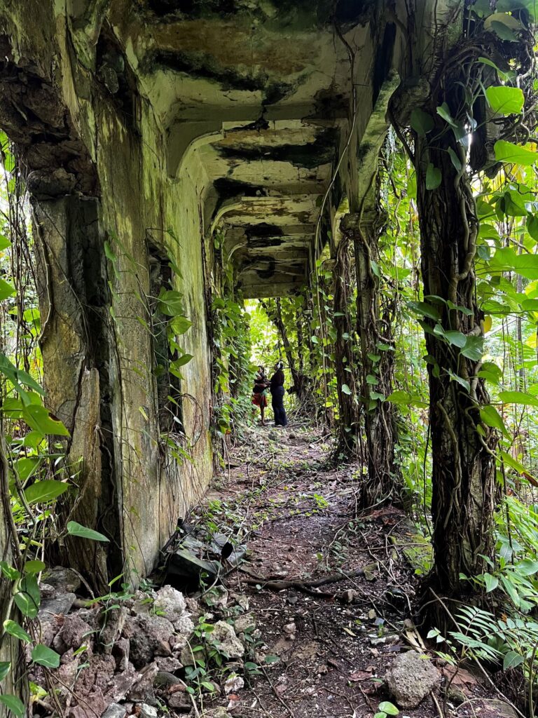 An outdoor walkway has filled in with vines covering pillars on the right side and a remaining wall of a building on the left. The overhang above tinges with mold.