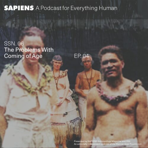 In a collage, white people and Samoans stand together yet apart.