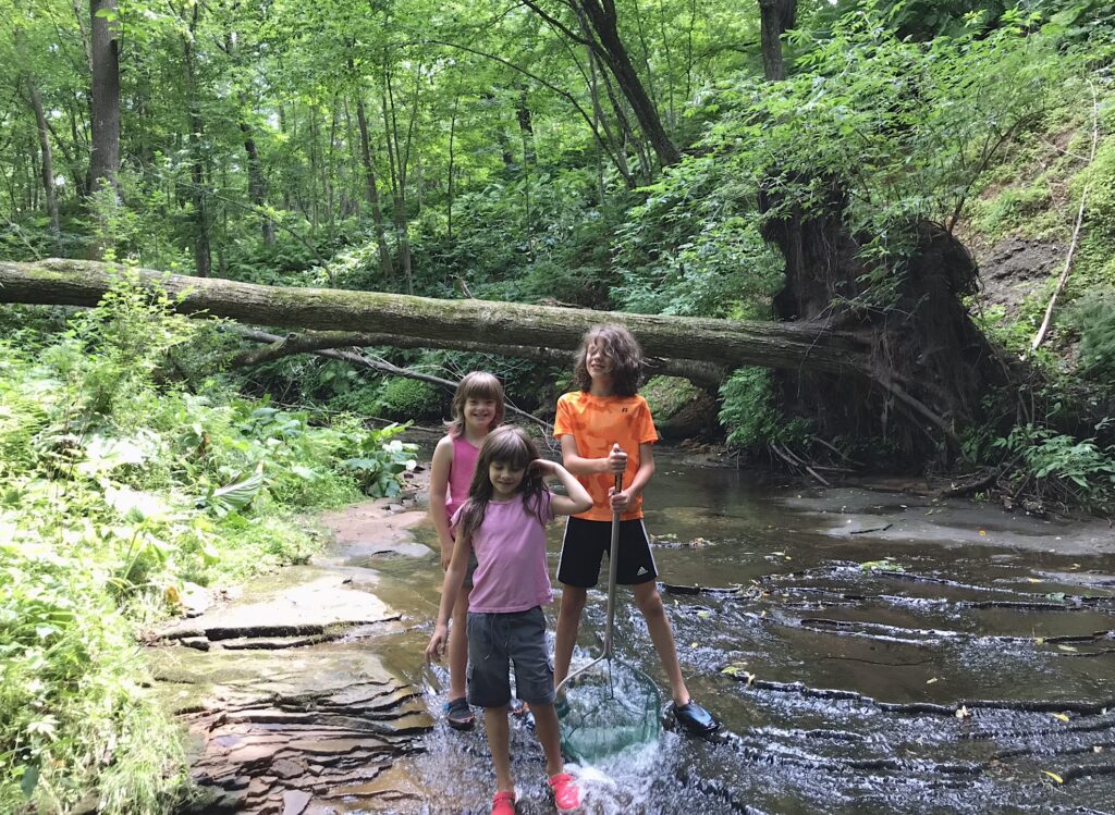 Three young people with long brown hair wearing colorful T-shirts and casual shorts stand on rocks in a shallow creek surrounded by green, leafy trees.