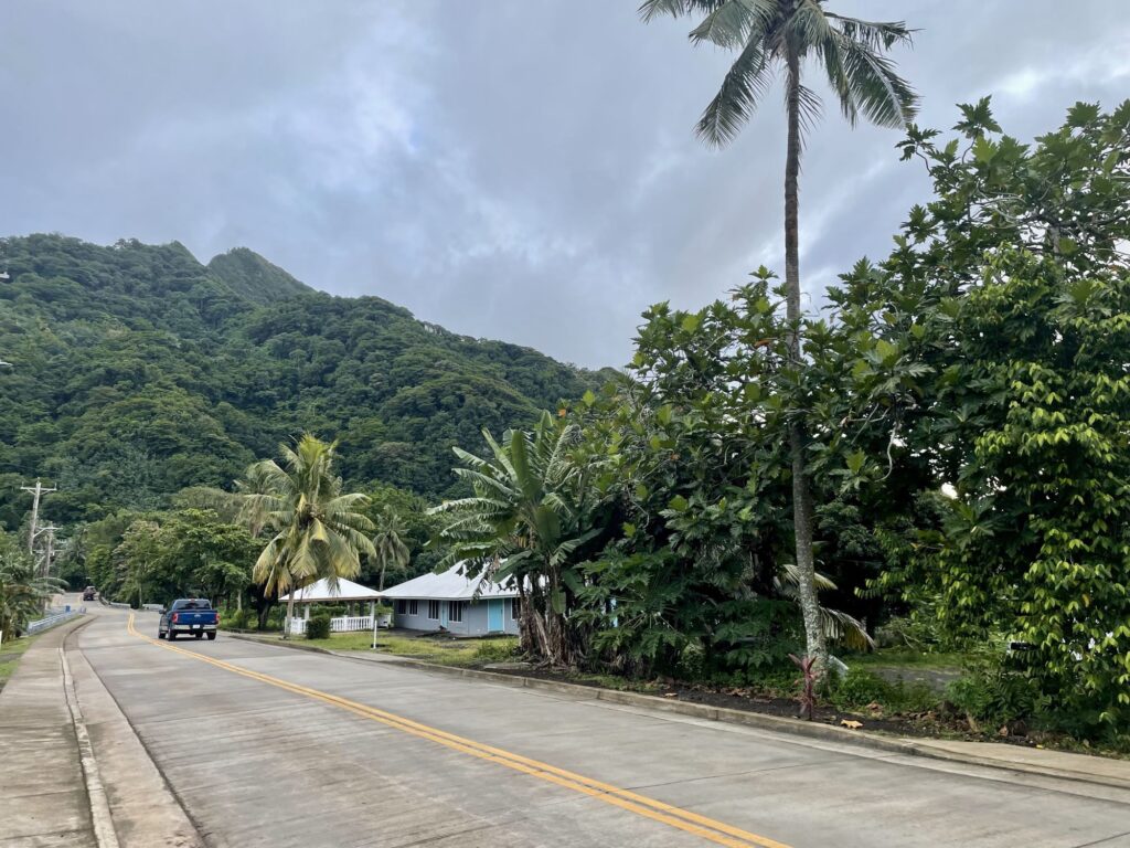 An asphalt street extends into the distance, past a house surrounded by a lush green forest.