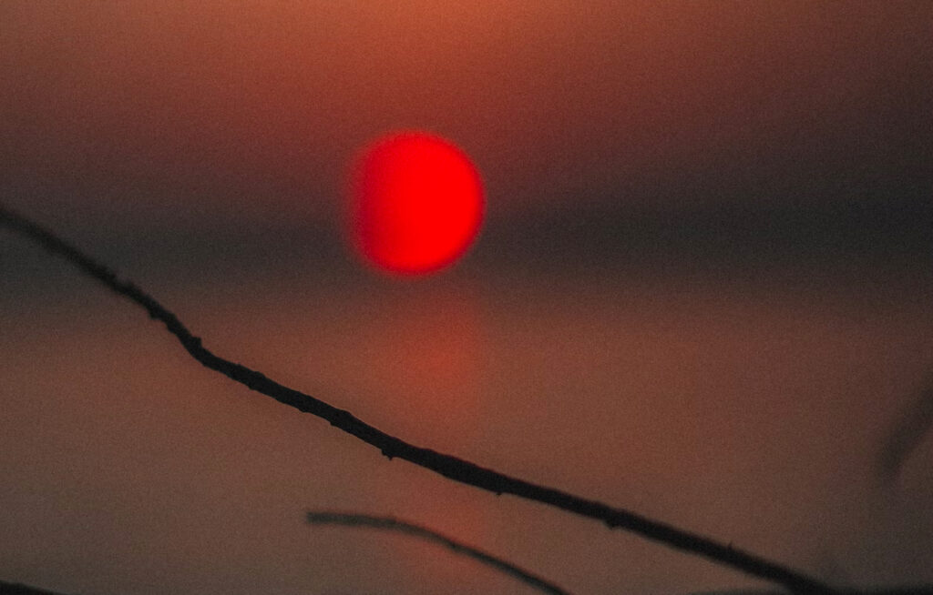 A bright red sun sets over a gray body of water, with a few branches of a tree visible in the foreground.