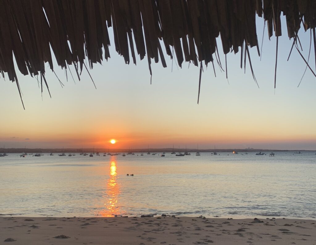 Taken from under the frond of a leafy overhang, waters near the shore of a beach gently ripple under the bright orange glow of the setting sun.