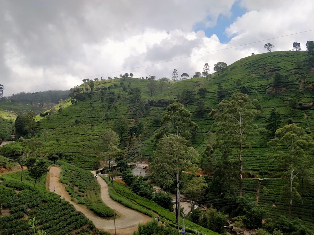 Under a blue sky, a lush green landscape features a road at the base of a steep hill.