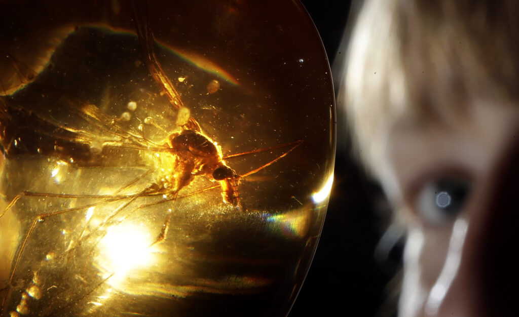 An illuminated glass orb holds an insect frozen in a yellow substance. In a blurred background, a person looks at the orb from the right side.
