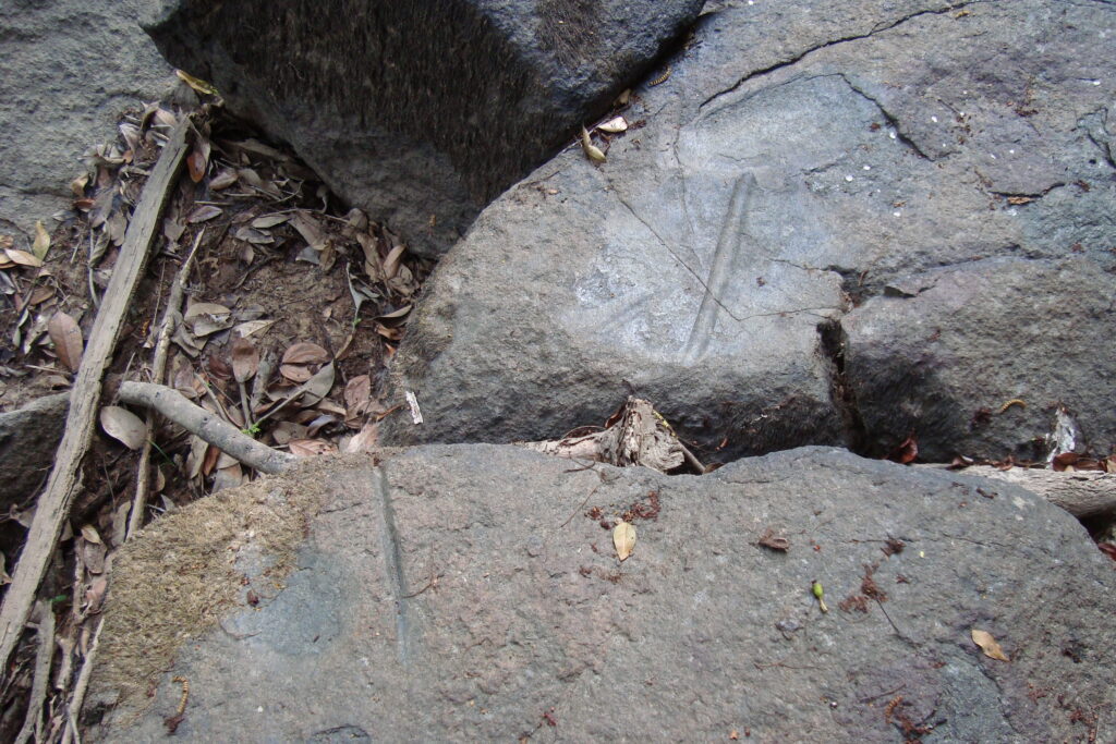 A close-up photograph features a cluster of gray rocks with lines etched into them.