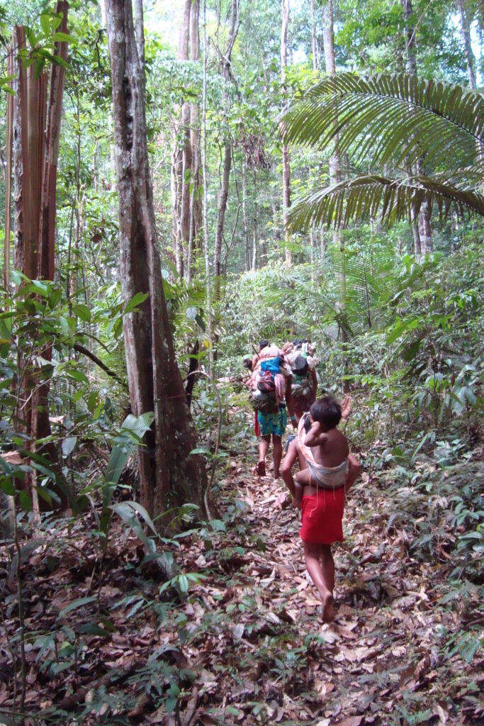 In single file, several people walk through a dense forest.