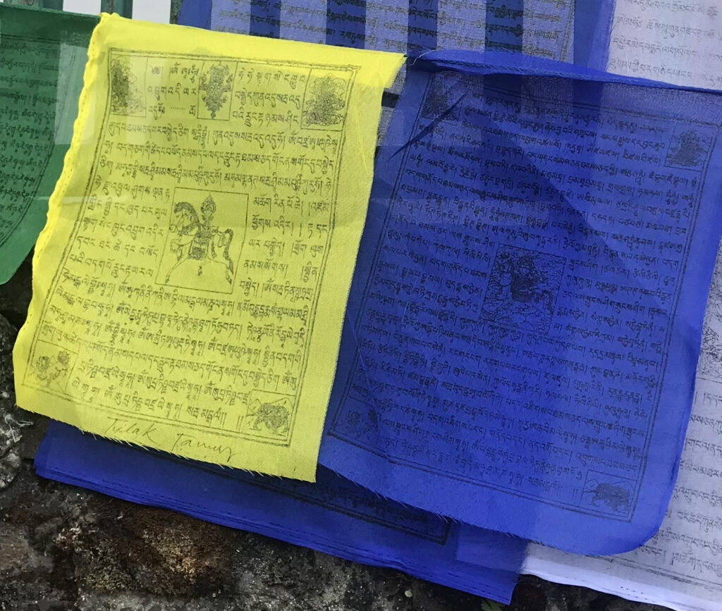 Squares of green, blue, and yellow cloth show black text and drawings of horses.
