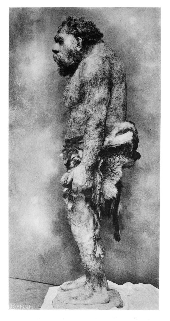 Un gráfico en blanco y negro muestra a una persona sin camiseta, con el pelo rizado, barba y mucho vello corporal, que lleva una piel de animal alrededor de la cintura y está de pie mirando hacia la izquierda.