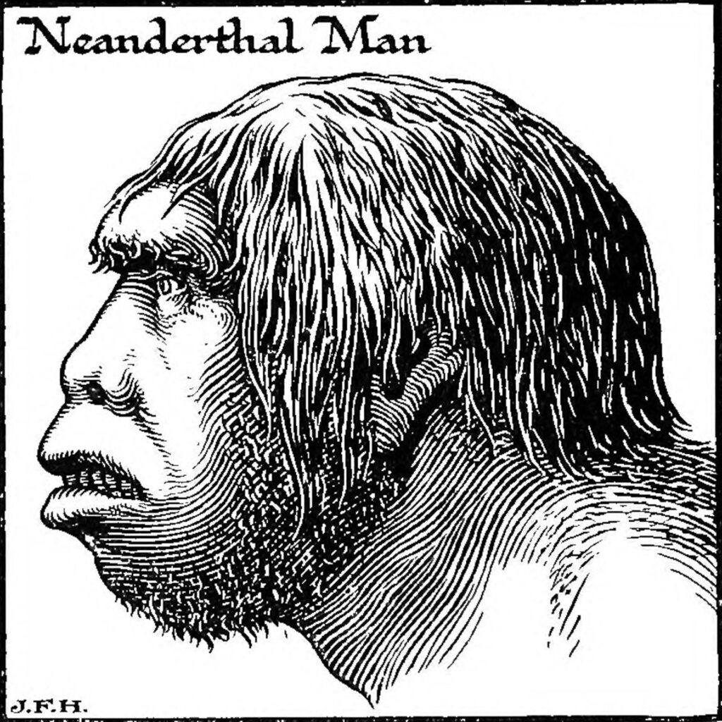 Un boceto en blanco y negro muestra el perfil de una persona con cejas prominentes, mandíbula grande, dientes descubiertos y pelo y barba desaliñados. Sobre él, un encabezamiento reza: "Hombre Neandertal".