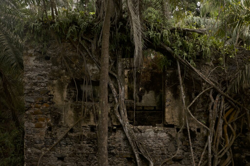 A photograph shows a brown brick structure lined with leafless, brown vines. Light and green trees are only visible through a small window in the top of the wall.