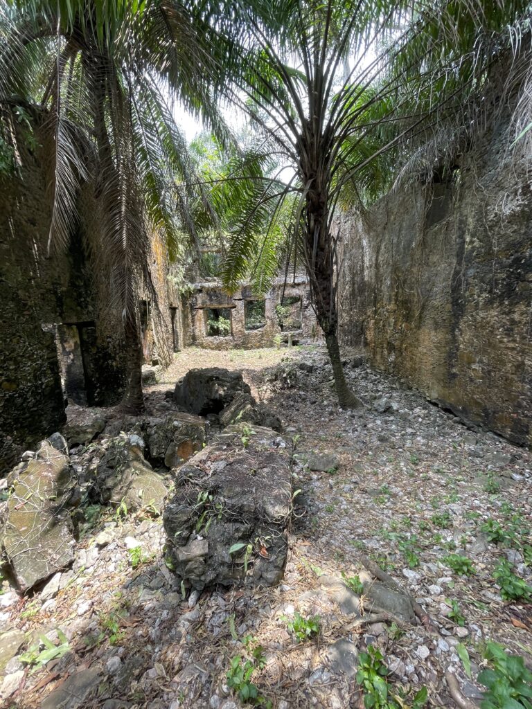 A brown, weathered structure with window openings sits behind a plot of dirt land with a palm tree, a cluster of large rocks, and small green plants scattered about.