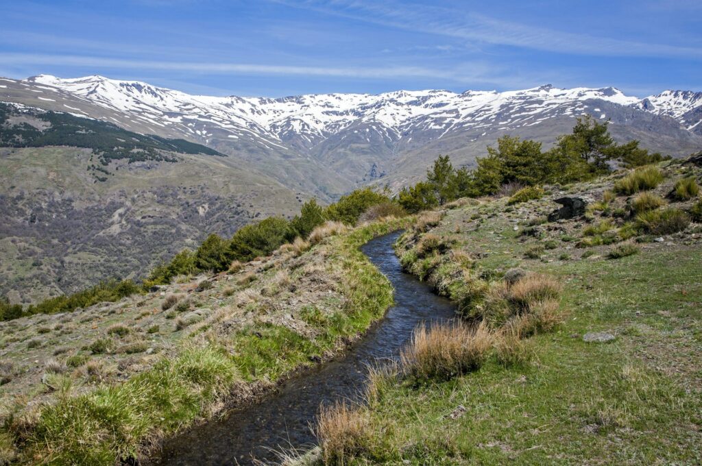 A narrow body of water cuts across a grassy mountainside, with snowy mountains spanning a distant background.