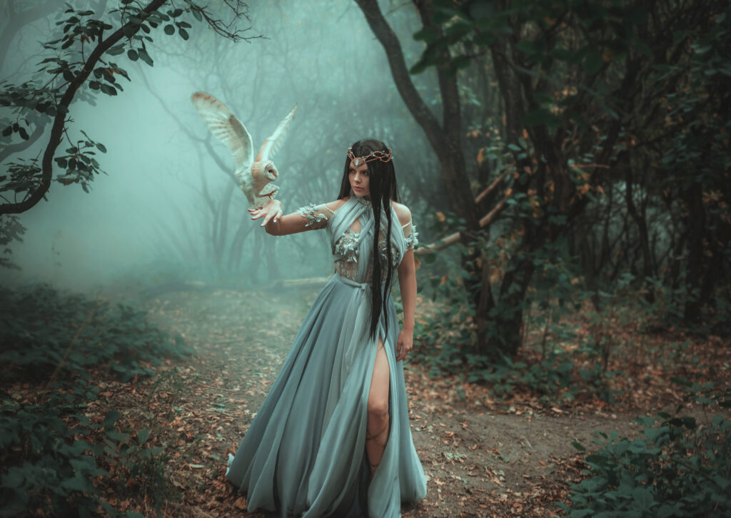 A person with long, straight brown hair wearing a blue flowy dress walks in a misty forest as a white owl lands on their wrist.