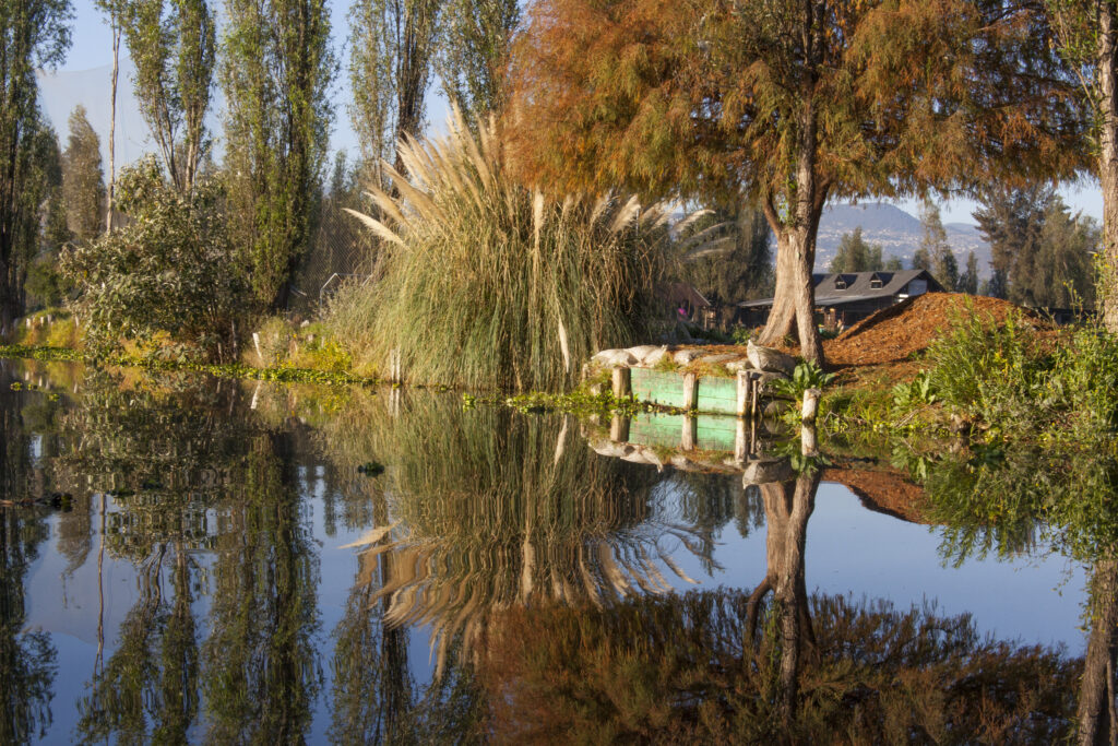 A photograph shows a body of water lined on the far shore by trees, grasses, and a teal platform with white bags lying on it.