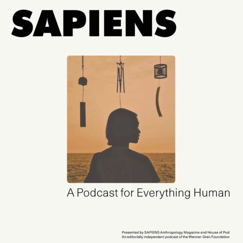 The image displays a podcast cover for "SAPIENS: A Podcast for Everything Human." It features a silhouette of a person looking into a sunset, with wind chimes hanging in the foreground. The text is bold and centralized at the top, with the subtitle and credits at the bottom. The overall theme suggests a focus on anthropology and human stories.