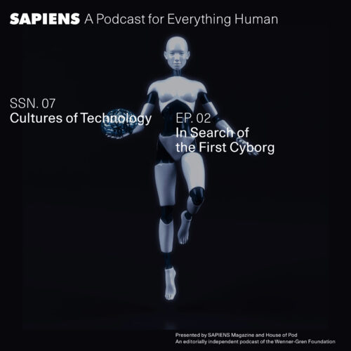 This image is a promotional graphic for a podcast episode titled "In Search of the First Cyborg" from the series "Cultures of Technology," which is part of the SAPIENS podcast, an editorially independent podcast of the Wenner-Gren Foundation. The visual features a futuristic representation of a female humanoid robot with a sleek white and black design, positioned against a dark background. The robot is depicted with human-like features and proportions, emphasizing the blend of human and machine characteristics typical of cyborgs.
