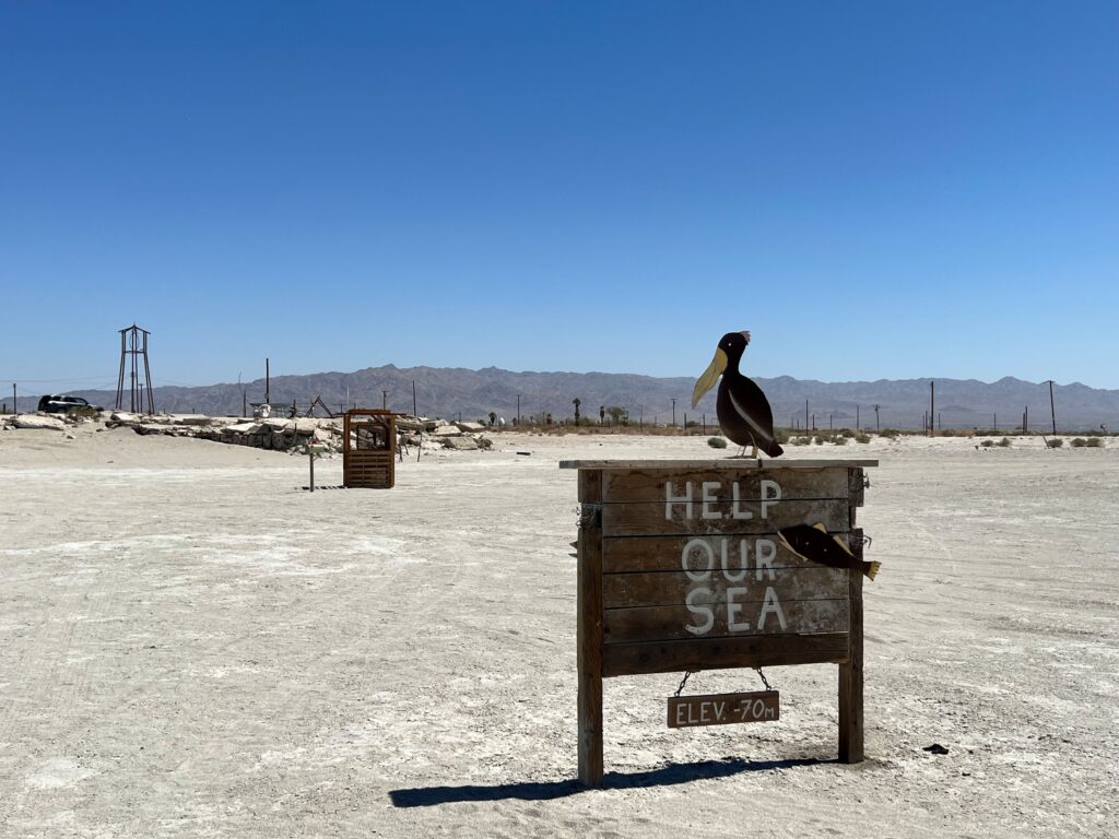 A wooden sign painted with the words “help our sea” and topped with a wooden pelican stands in a dilapidated sandy expanse.
