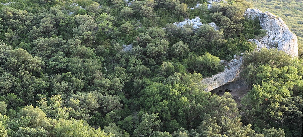 A massive rock outcropping appears underneath forest cover, with one side exposing a cave.