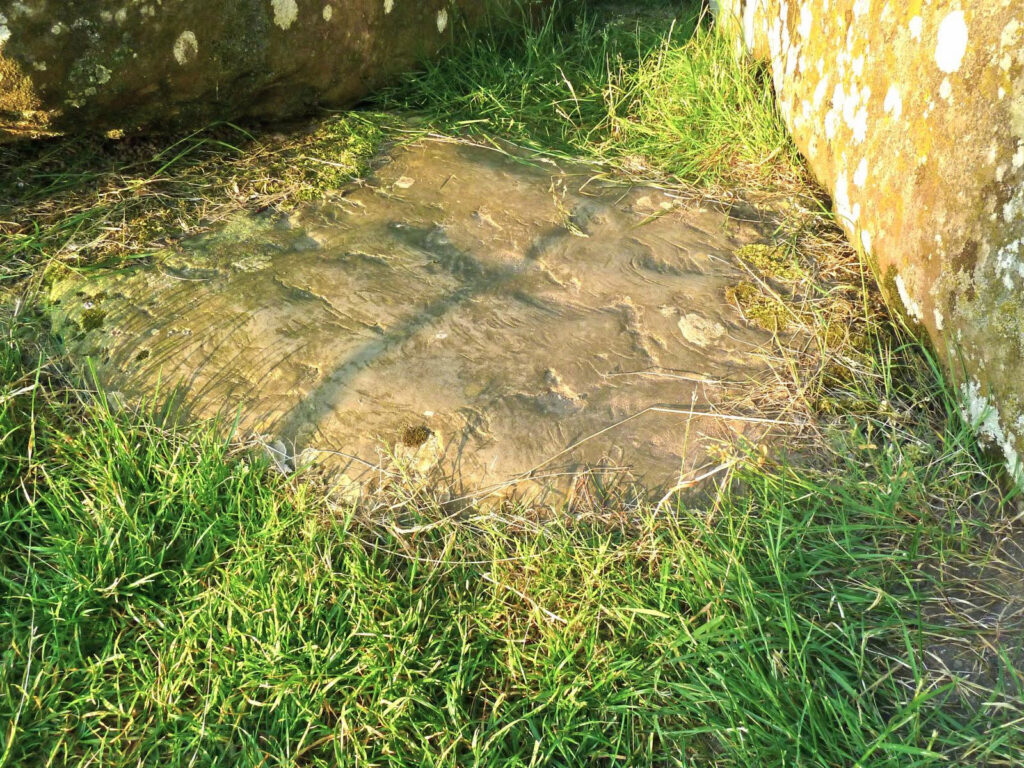 A flat, smooth stone with faint markings lies in a field of green grass amid other stones.