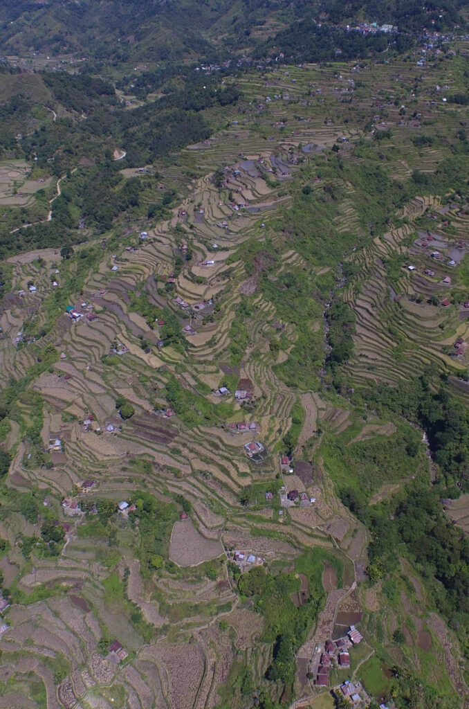 An aerial view shows a dramatic landscape of large-scale green and brown steps on a hillside.