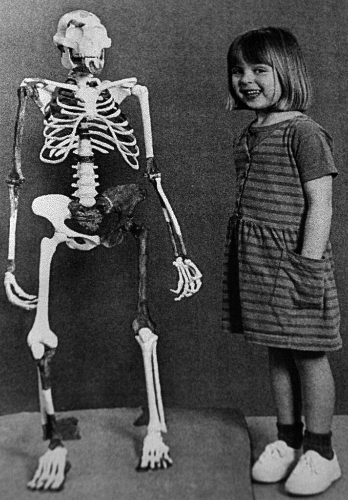 An upright skeleton stands next to a young girl who is smiling and has her hands in the pockets of her striped dress.