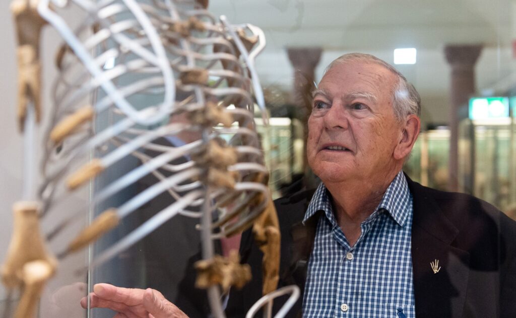 An older man in a blue and white checkered shirt and dark suitcoat stares up at a reconstruction of a fossil skeleton’s midsection.