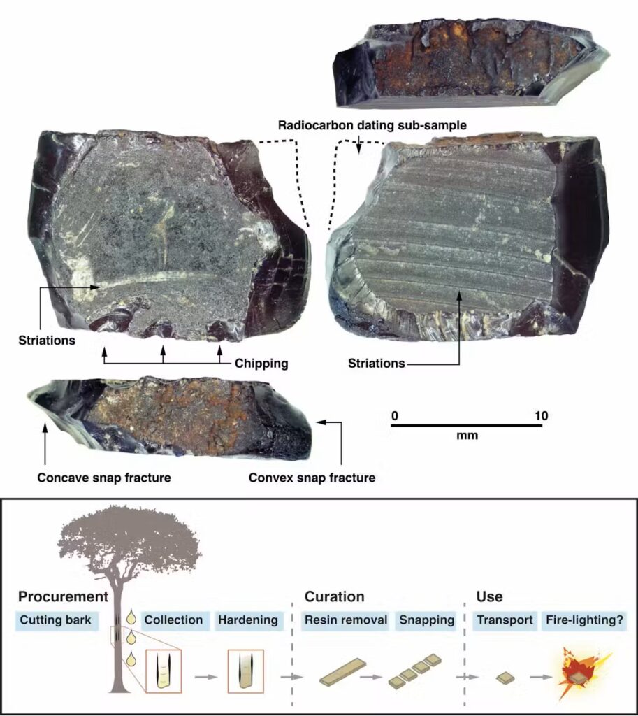 In the top part of a pair of images, several angles of a gray rock-like object with light striations across it show where it was chipped or fractured. In the bottom of the image is a chart that schematically shows a tree with drops of sap that are then collected and hardened, curated, and used.