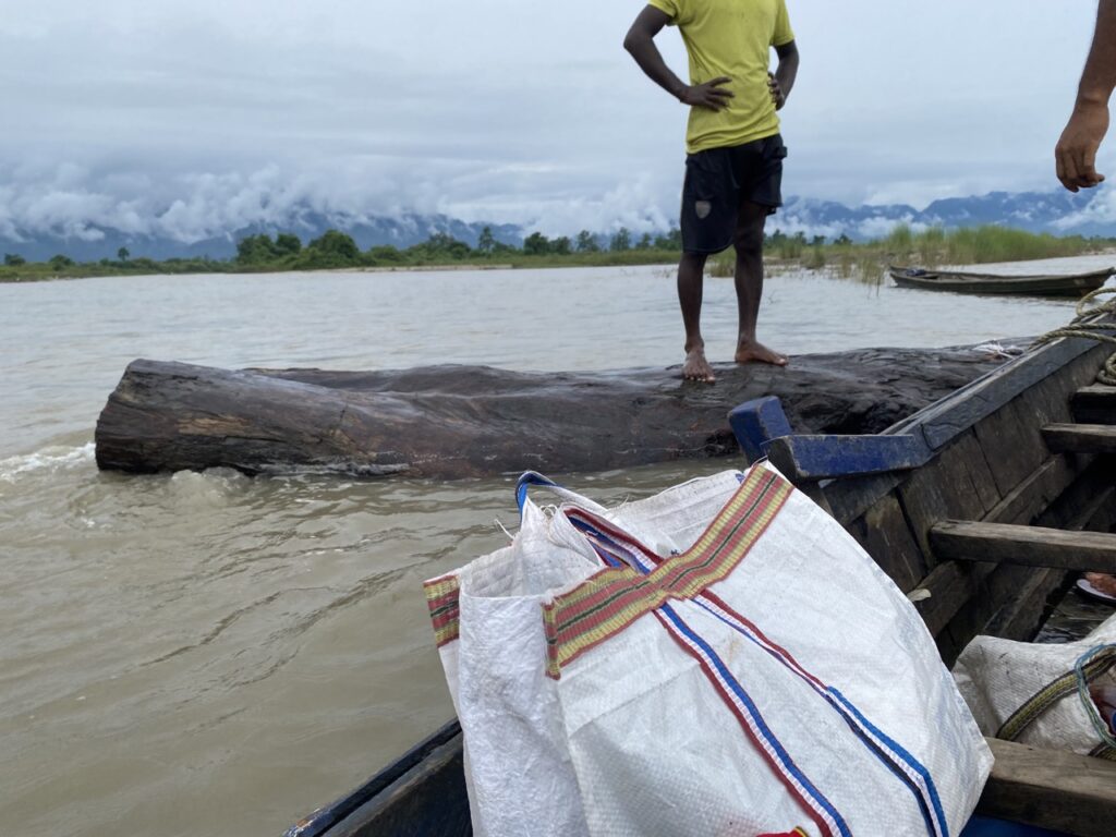 A person in a yellow T-shirt and black shorts stands, arms akimbo, on a log that floats in a river.