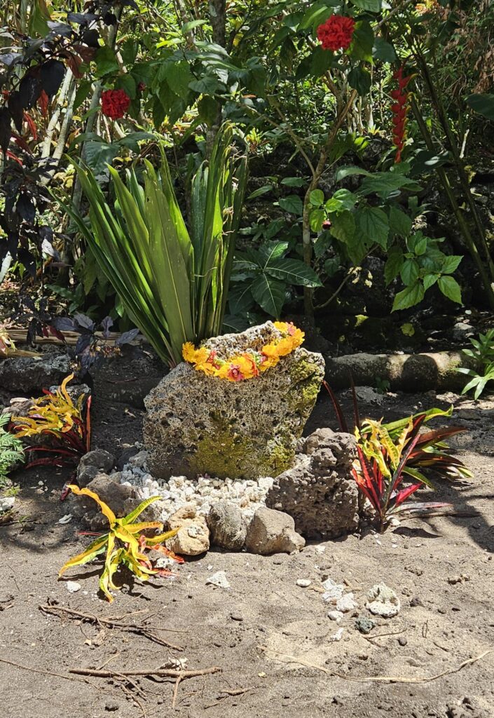 A porous rock covered in patches of green moss and crowned with a wreath of yellow flowers sits on sandy ground in front of verdant foliage studded with red flowers.