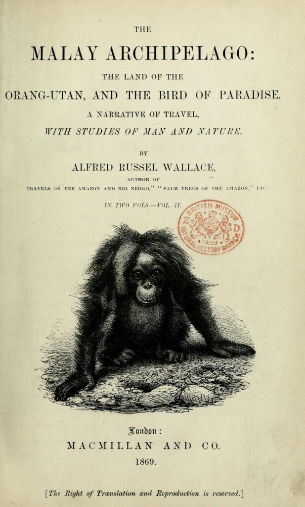 The title page of a book reads “The Malay Archipelago: the Land of the Orang-utan, and the Bird of Paradise. A Narrative of Travel, With Studies of Man and Nature by Alfred Russel Wallace.” Below the title is a black and white print of an orangutan squatting on the ground.