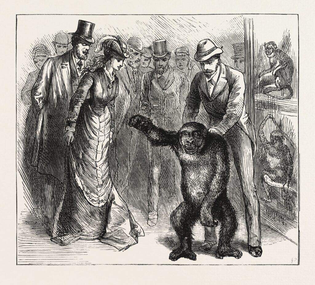 A black-and-white engraving depicts a crowd of people, with some wearing suits and others dresses, gathered around a gorilla. In the background, monkeys are held in cages.