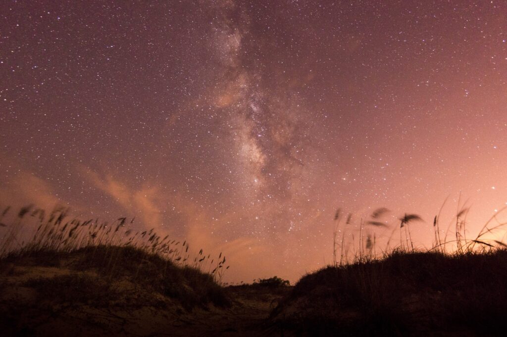 A landscape of tall grasses is silhouetted beneath a reddish night sky studded with innumerable stars that form a rippling trail in the sky.
